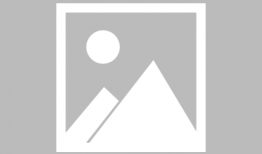 动漫人物介绍,探寻各具特色的动漫人物风采